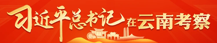 专题n