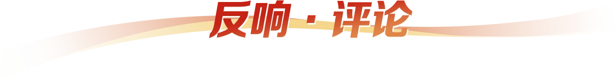 反向评论