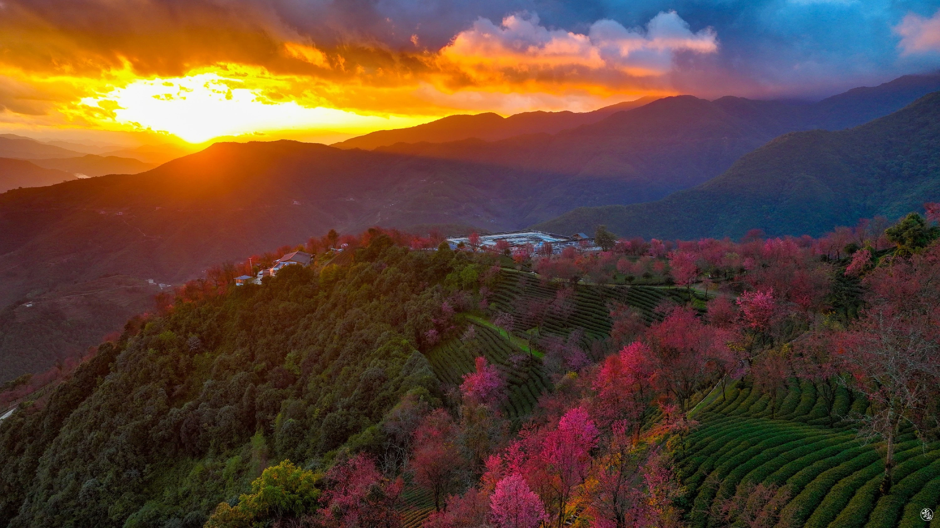 DJI_0625.jpg