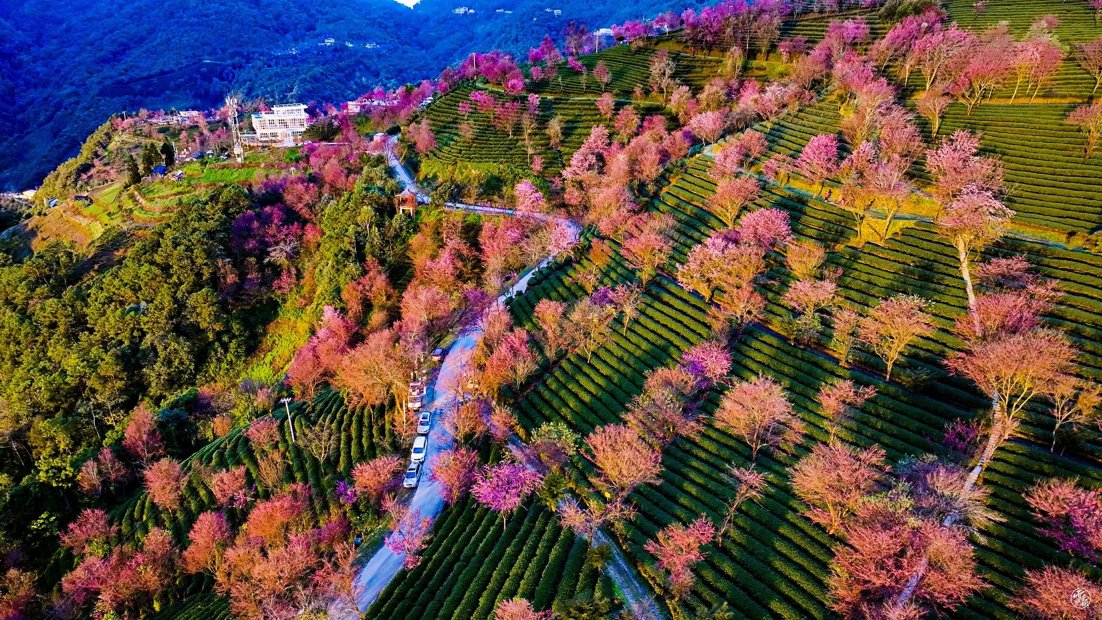 DJI_0658.jpg