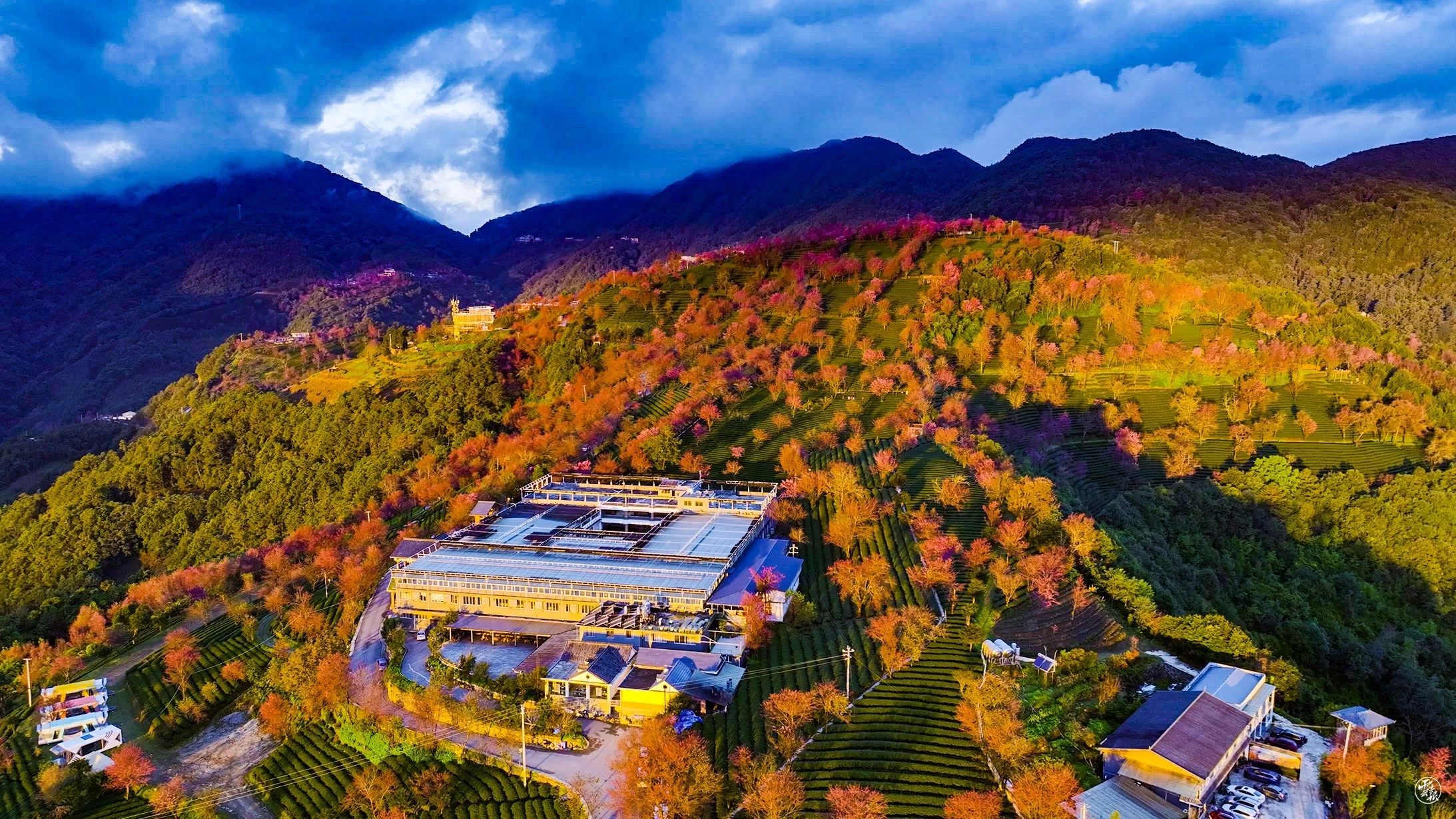 DJI_0652.jpg