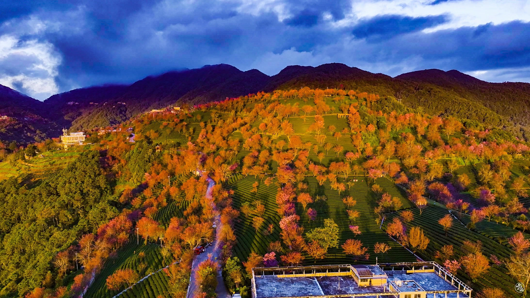 DJI_0653.jpg