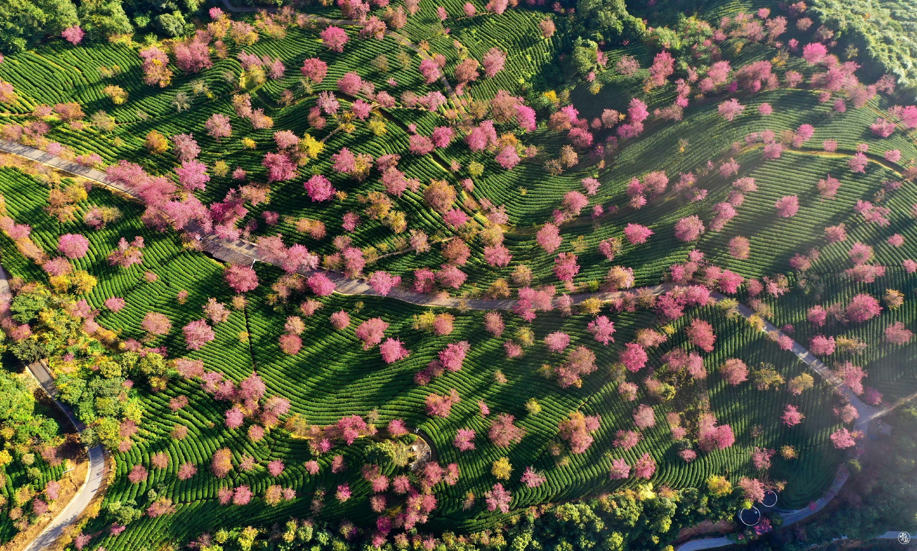 DJI_0137.jpg
