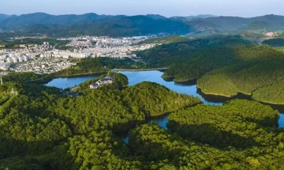 “廉”动力增活力 打造“旅居思茅”新名片