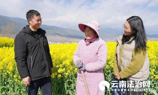 大理州以监督之笔助力 ​绘好春日“粮辰美景”