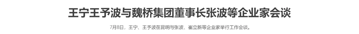 王宁王予波与魏桥集团董事长张波等企业家会谈