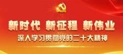 新时代 新征程 新伟业 深入学习贯彻党的二十大精神