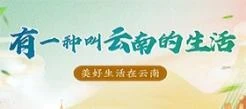 有一种叫云南的生活丨美好生活在云南
