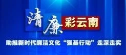 清廉彩云南