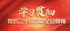 学习贯彻党的二十届三中全会精神