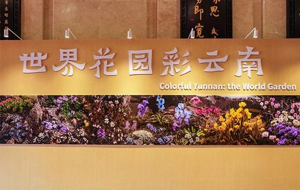 亮点抢先看！2025一带一路媒体合作论坛特色展亮相