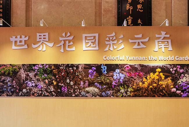 【高清图组】亮点抢先看！2025一带一路媒体合作论坛特色展亮相