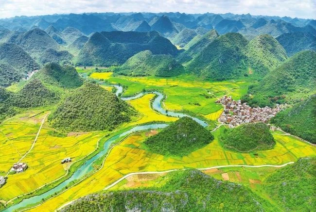 云岭沃野迎丰收 乡村振兴绘新景