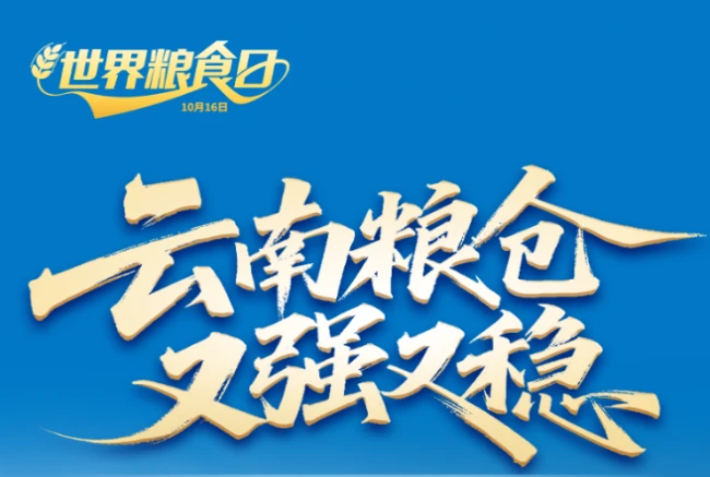 吃mangmang，云南又强又稳！