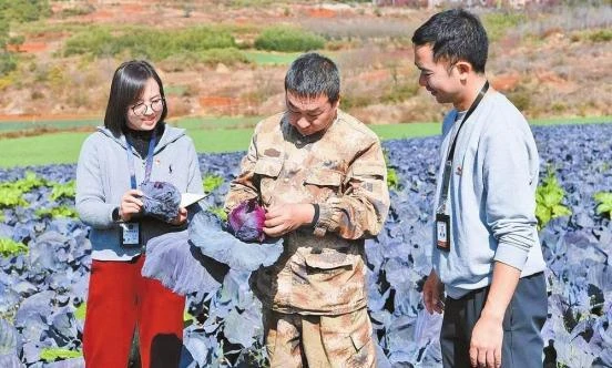 嵩明县纪委监委干部深入一线走访摸排 了解特色产业发展情况