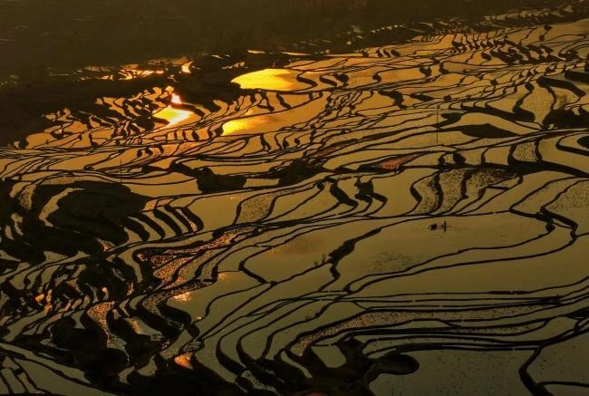 人民日报整版推介：踏云寻艺 跟着非遗游云南