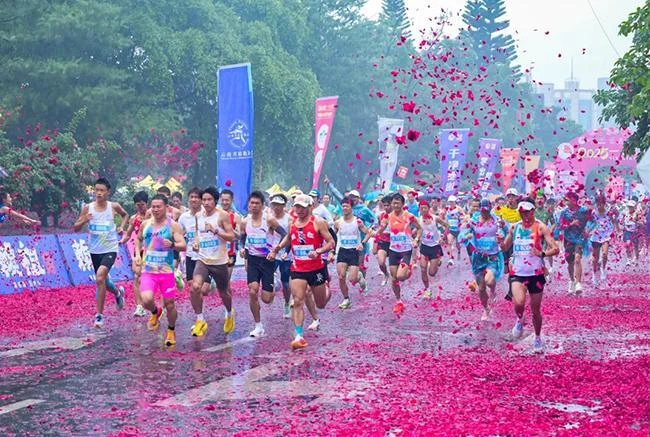 从远方而来，在暖阳里奔跑