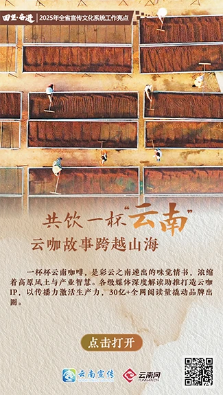【回望·奋进】共饮一杯“云南” 云咖故事跨越山海