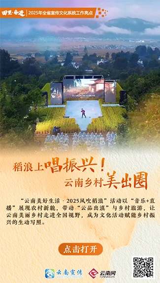 【回望·奋进】稻浪上唱振兴！云南乡村美出圈