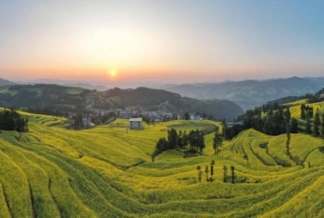 彩云之南 春意盎然