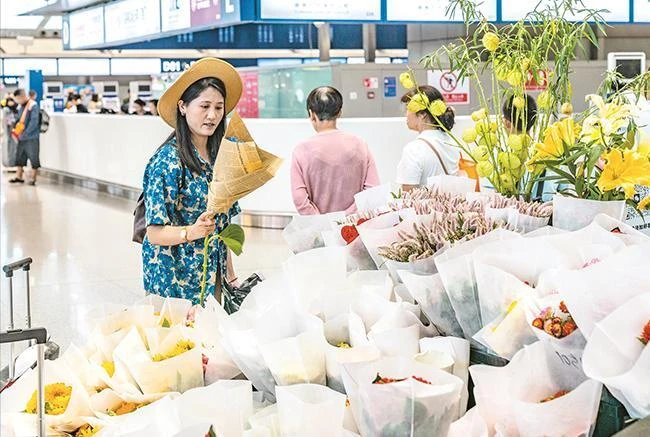 暑运云南铁路预计发送旅客2790万人次