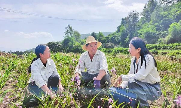 洱源县纪委监委持续深化“室组地”联动监督机制