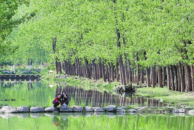 昆明市系统推进“绿美春城”建设——生态优先 绿中掘金