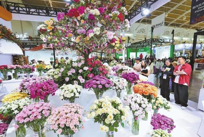 五大产业联展　擦亮云品名片