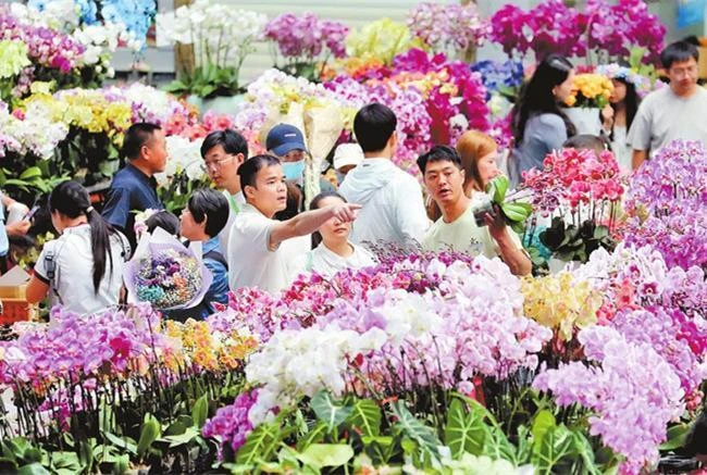 云南省多地差异化产品供给丰富假日市场